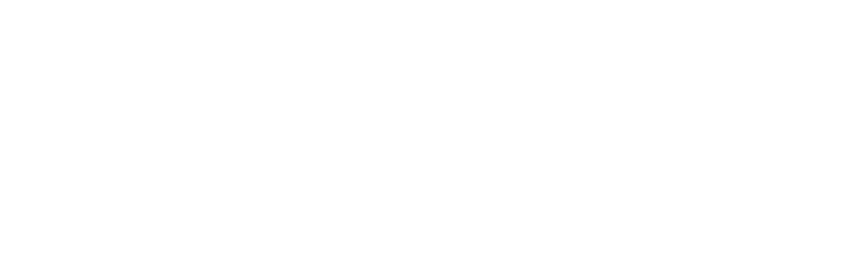 Digiprotect Logo